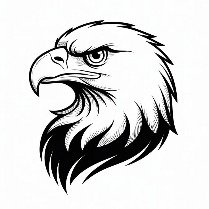 2b3cc3b8d6b580defe6470b5f84d13ba